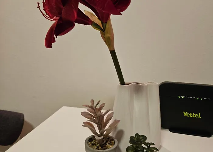 Lejlighed Aker Beograd